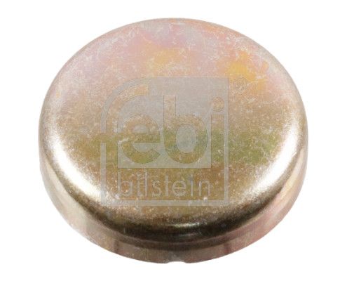 Frost Plug BMW - 11 11 1 717 939