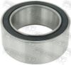 Bearing, compressor shaft FORD 1578424, GM 13217307, HONDA 38810-RMX-A01, HY