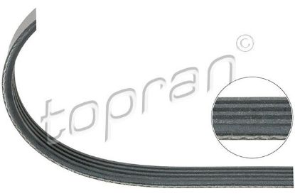 V-Ribbed Belt Ford, Mercedes/Smart, Renault/Dacia