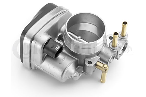 Throttle Body VW