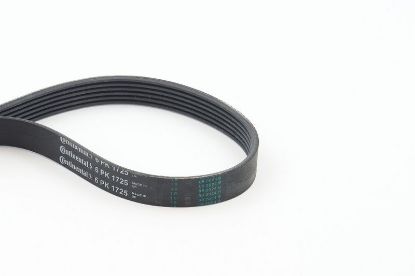 V-Ribbed Belt PSA - 96 317 187 80