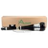 Air Suspension Strut Nw Rr Rt Eibach Air Strut-13- MB S-Class/Maybach (