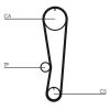 Timing Belt Kit CT 895 K1