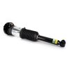 Air Suspension Strut