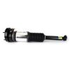 Air Suspension Strut