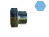 Screw Plug, oil sump Nissan
