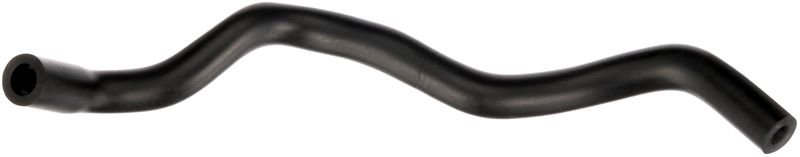 Hose, crankcase ventilation