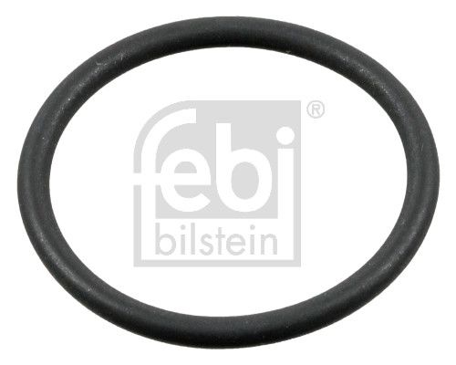 Seal Ring, coolant tube M A N 81.96501.0767