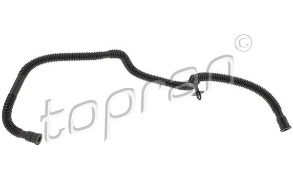 Hose, cylinder head cover ventilation VAG - 03C103493AP