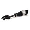 Air Suspension Strut 12-16 MB GL-Class (X166) 1663204966