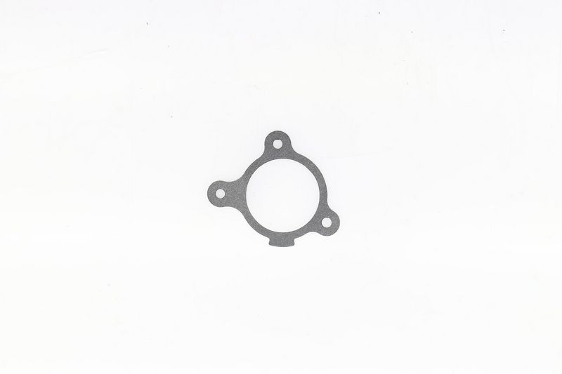 Gasket, intake manifold PSA
