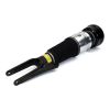 Air Suspension Strut