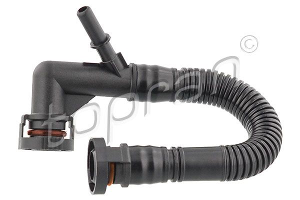 Hose, cylinder head cover ventilation BMW/MINI