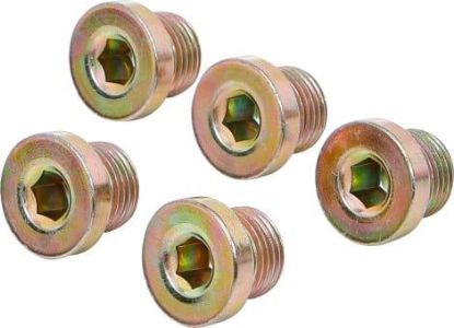 Repair Kit, oil drain plug thread M17x1.5 Drain Plug, 5 pcs., for BGS 126