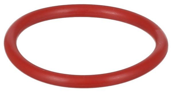 Seal Ring, crankcase ventilation GM