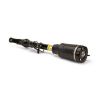Air Suspension Strut MB ML-Class (ML63 AMG) 06-11 1643202213