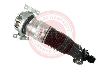 Air Suspension Strut AUDI Q7 (4LB), TOUAREG (7LA, 7L6, 7L7)