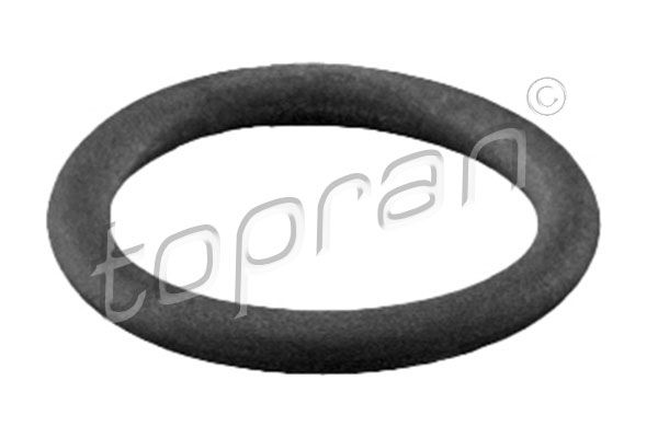 Sealing Ring, coolant line