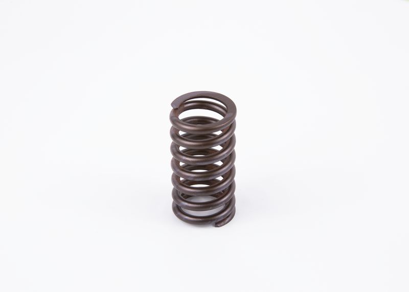 Spring, throttle control linkage Diesel Spare Parts (convention