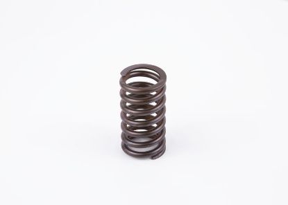 Spring, throttle control linkage Diesel Spare Parts (convention