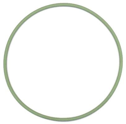 Seal Ring, cylinder liner Man