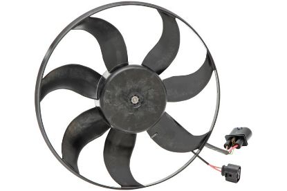 Fan, engine cooling