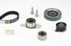 Timing Belt Kit RENAULT 1.9 dTi mootorid