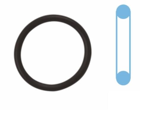 Seal Ring, oil drain plug OPEL 90528145