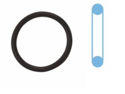 Seal Ring, oil drain plug OPEL 90528145