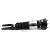 Air Suspension Strut Front Left Eibach Air Strut - 13-16 Porsche Panam