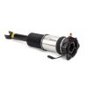 Air Suspension Strut 02-10 Audi A8