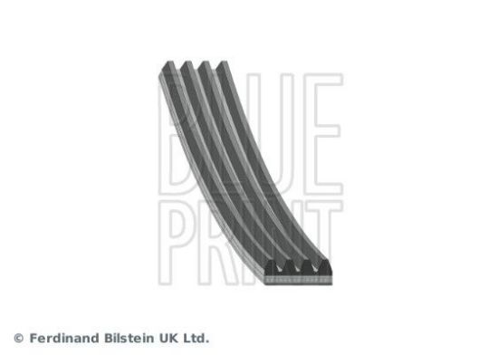 V-Ribbed Belt HONDA 56992-P72-003