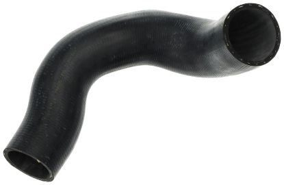Charger Air Hose