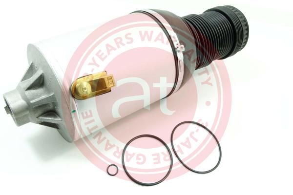 Air Spring, suspension VAG Phaeton (3D) (2002 - 2016)