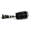 Air Suspension Strut