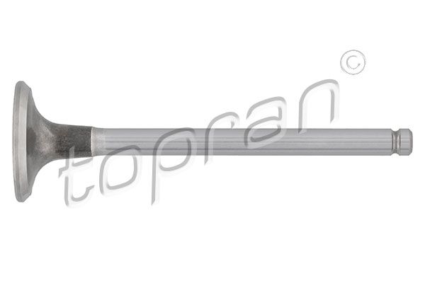 Exhaust Valve Opel, General Motors