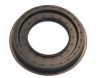 Shaft Seal, differential Iveco 8193809