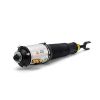 Air Suspension Strut 04-06 VW Phaeton
