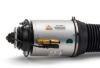 Air Suspension Strut 04-06 VW Phaeton