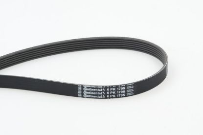 V-Ribbed Belt BMW - 11 28 8 512 247