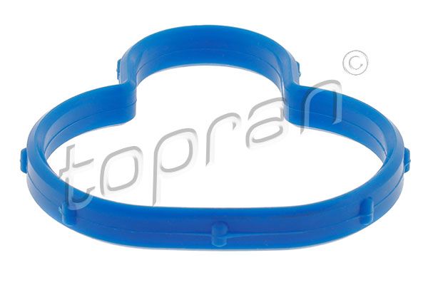 Gasket, intake manifold FORD