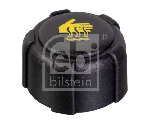 Cap, coolant tank Renault - 82 00 048 024