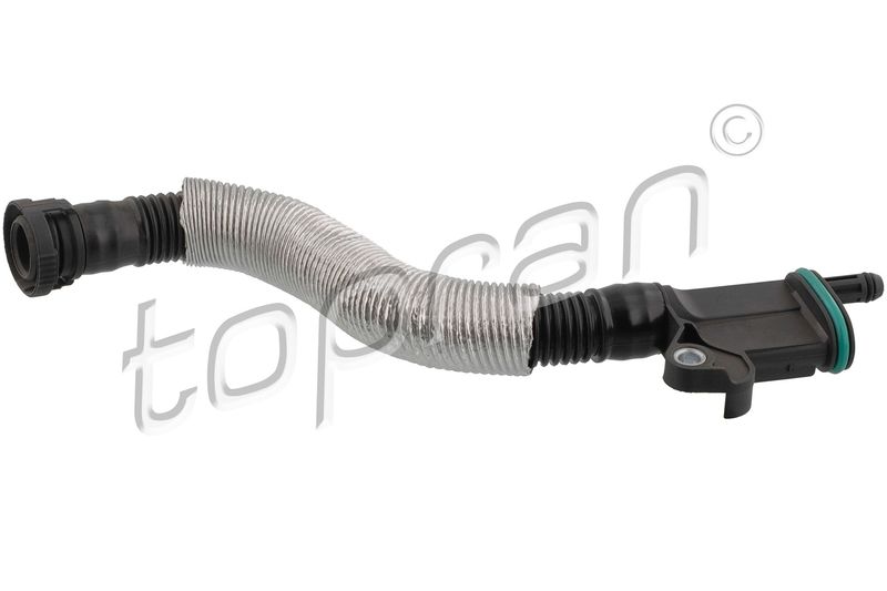 Hose, cylinder head cover ventilation VAG - 06J 103 213E