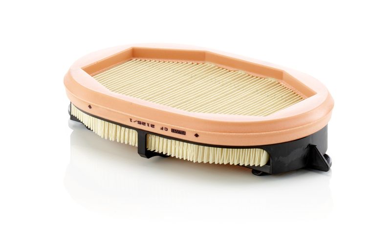 Secondary Air Filter Industry 50352455