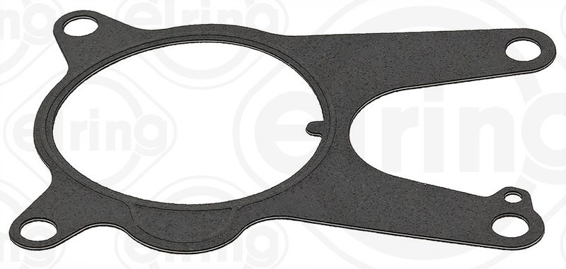 Gasket, vacuum pump Fiat