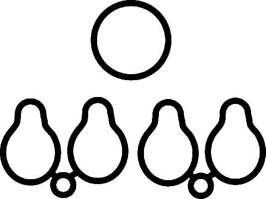 Gasket, intake manifold PSA 0348F0