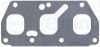 Gasket, exhaust manifold VOLKSWAGEN