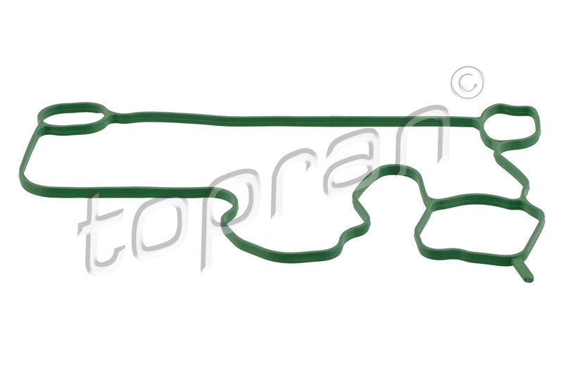 Gasket, crankcase ventilation