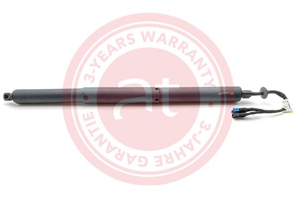 Electric Motor, tailgate BMW