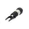 Air Suspension Strut Porsche Panamera (970) w/or w/out AWD esimene 14-1